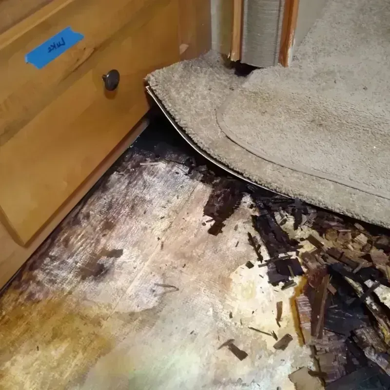 Best Wood Floor Water Damage Service in Hyattsville, MD